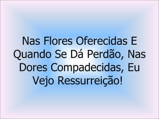 Nas Flores Oferecidas E
Quando Se Dá Perdão, Nas
 Dores Compadecidas, Eu
   Vejo Ressurreição!
 