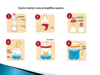 Como montar uma armadilha caseira.
 