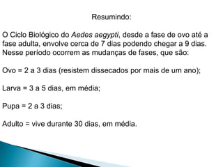 Resumindo:
O Ciclo Biológico do Aedes aegypti, desde a fase de ovo até a
fase adulta, envolve cerca de 7 dias podendo chegar a 9 dias.
Nesse período ocorrem as mudanças de fases, que são:
Ovo = 2 a 3 dias (resistem dissecados por mais de um ano);
Larva = 3 a 5 dias, em média;
Pupa = 2 a 3 dias;
Adulto = vive durante 30 dias, em média.
 