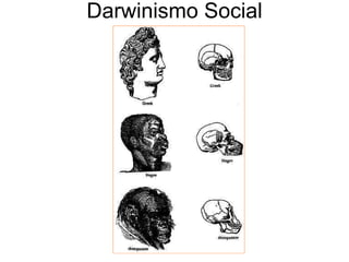 Darwinismo Social 