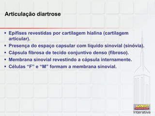 Articulação diartrose
 Epífises revestidas por cartilagem hialina (cartilagem
articular).
 Presença do espaço capsular com líquido sinovial (sinóvia).
 Cápsula fibrosa de tecido conjuntivo denso (fibroso).
 Membrana sinovial revestindo a cápsula internamente.
 Células “F” e “M” formam a membrana sinovial.
 