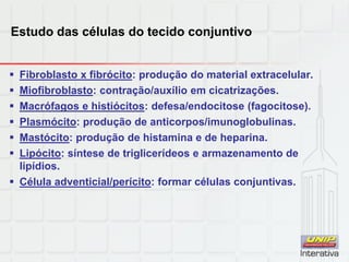 Estudo das células do tecido conjuntivo
 Fibroblasto x fibrócito: produção do material extracelular.
 Miofibroblasto: contração/auxílio em cicatrizações.
 Macrófagos e histiócitos: defesa/endocitose (fagocitose).
 Plasmócito: produção de anticorpos/imunoglobulinas.
 Mastócito: produção de histamina e de heparina.
 Lipócito: síntese de triglicerídeos e armazenamento de
lipídios.
 Célula adventicial/perícito: formar células conjuntivas.
 