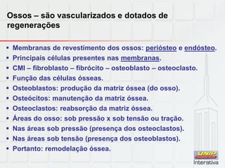 Ossos – são vascularizados e dotados de
regenerações
 Membranas de revestimento dos ossos: periósteo e endósteo.
 Principais células presentes nas membranas.
 CMI – fibroblasto – fibrócito – osteoblasto – osteoclasto.
 Função das células ósseas.
 Osteoblastos: produção da matriz óssea (do osso).
 Osteócitos: manutenção da matriz óssea.
 Osteoclastos: reabsorção da matriz óssea.
 Áreas do osso: sob pressão x sob tensão ou tração.
 Nas áreas sob pressão (presença dos osteoclastos).
 Nas áreas sob tensão (presença dos osteoblastos).
 Portanto: remodelação óssea.
 