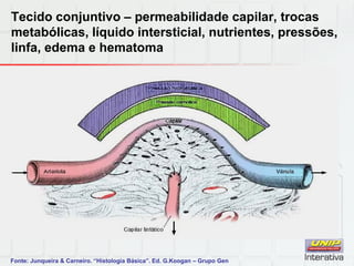 Tecido conjuntivo – permeabilidade capilar, trocas
metabólicas, líquido intersticial, nutrientes, pressões,
linfa, edema e hematoma
Fonte: Junqueira & Carneiro. “Histologia Básica”. Ed. G.Koogan – Grupo Gen
 