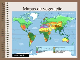 Mapas de vegetação
 