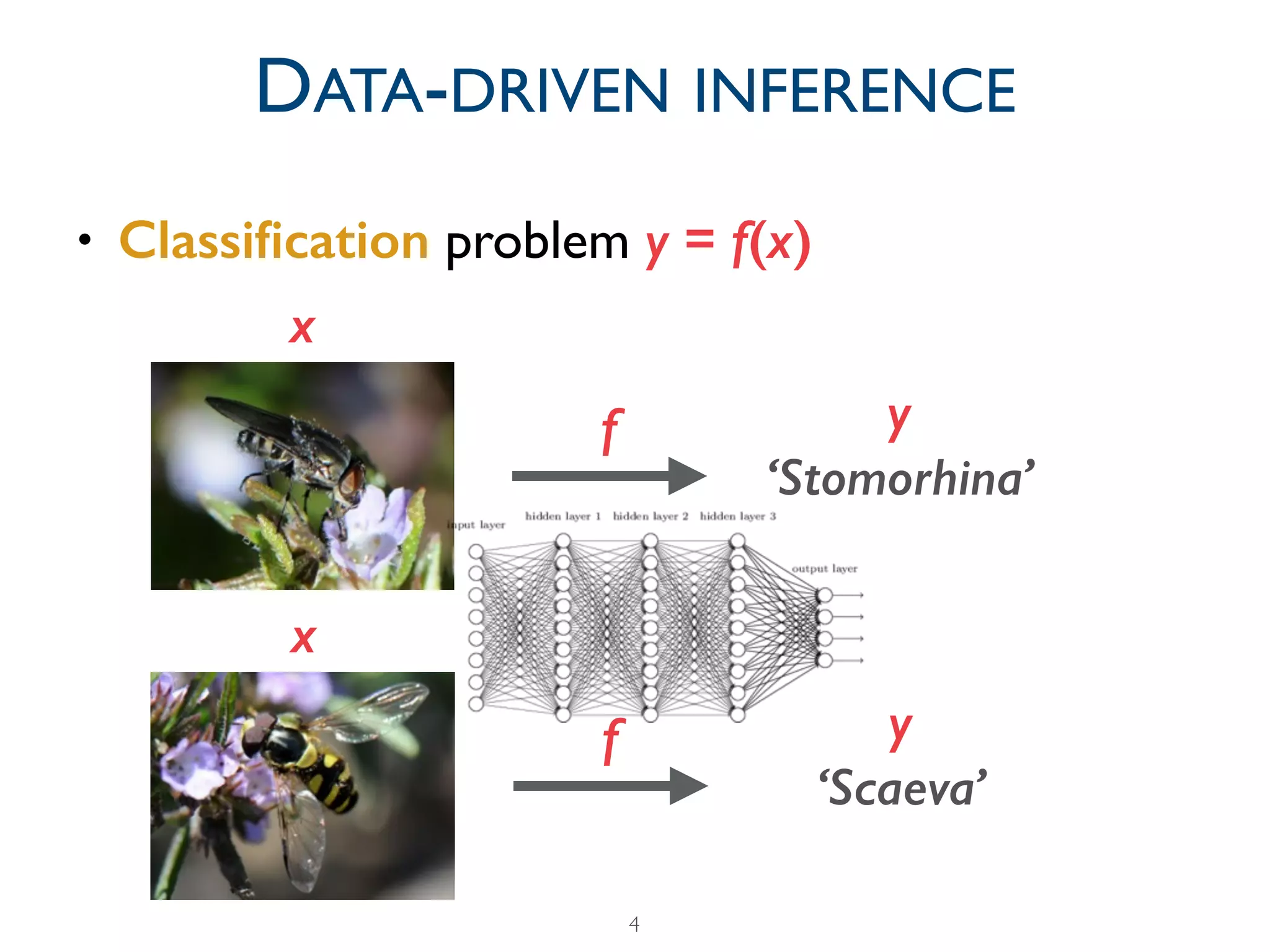 • Classiﬁcation problem y = f(x)
4
DATA-DRIVEN INFERENCE
x
f y
‘Stomorhina’
f y
‘Scaeva’
x
 