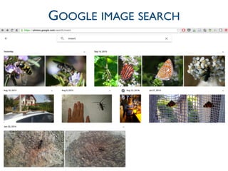 29
GOOGLE IMAGE SEARCH
 