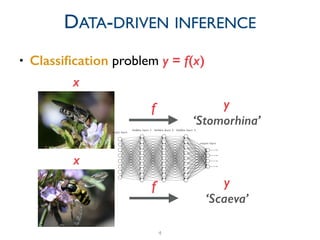 • Classiﬁcation problem y = f(x)
4
DATA-DRIVEN INFERENCE
x
f y
‘Stomorhina’
f y
‘Scaeva’
x
 