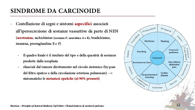 Nens Neuroendocrine Neoplasms