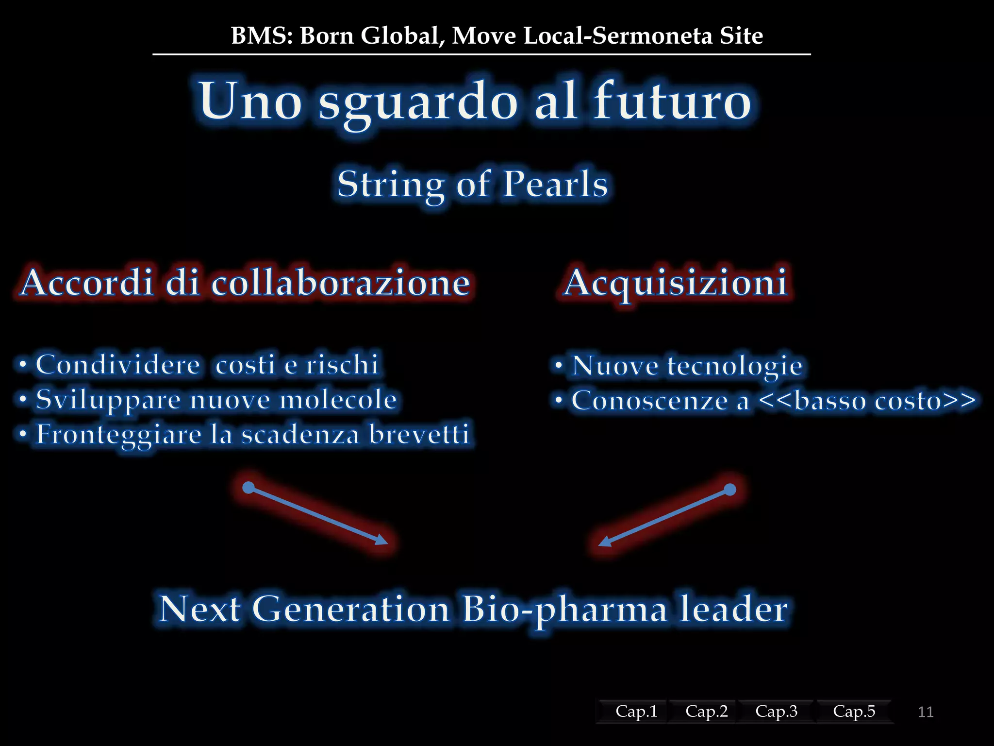 BMS: Born Global, Move Local-Sermoneta Site
11Cap.1 Cap.2 Cap.5Cap.3
 