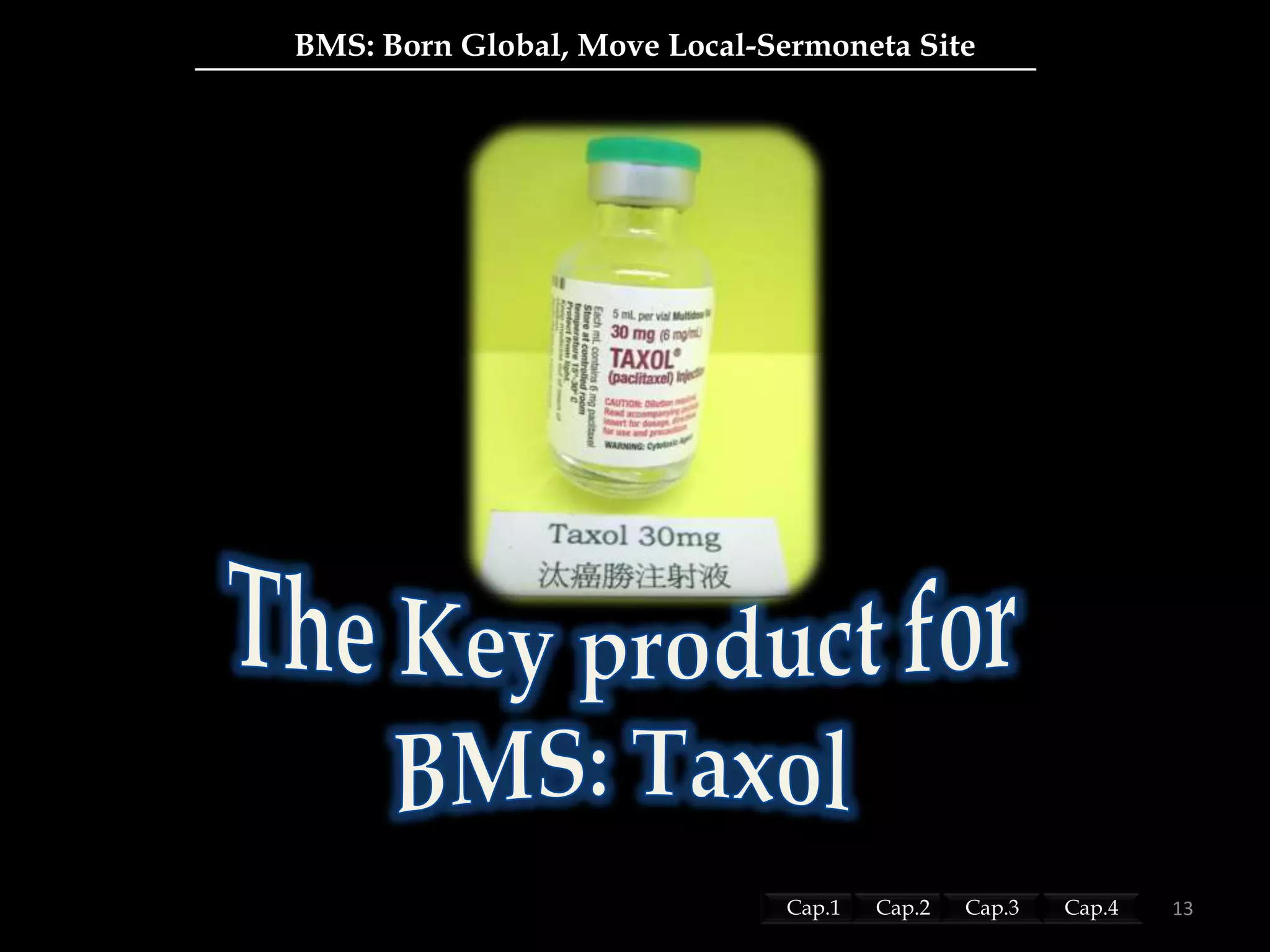 BMS: Born Global, Move Local-Sermoneta Site
13Cap.1 Cap.2 Cap.4Cap.3
 