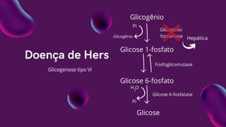 Glicose 1-fosfato
Glicogênio
fosforilase
Doença de Hers
Glicogenose tipo VI
Glicogênio
Glicose 6-fosfato
Glicose
Fosfoglicomutase
Glicose 6-fosfatase
Pi
Glicogênio
Pi
H O
2
Hepática
 
