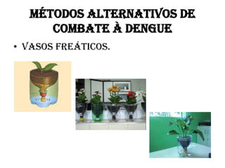 MÉTODOS ALTERNATIVOS DE
COMBATE À DENGUE
• Vasos freáticos.

 
