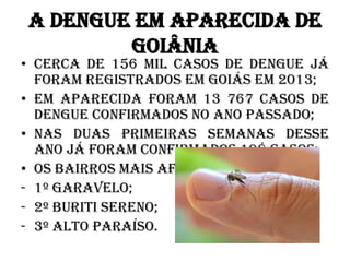 A DENGUE EM APARECIDA DE
GOIÂNIA

• Cerca de 156 mil casos de dengue já
foram registrados em Goiás em 2013;
• Em Aparecida foram 13 767 casos de
dengue confirmados no ano passado;
• Nas duas primeiras semanas desse
ano já foram confirmados 198 casos;
• Os bairros mais afetados são:
- 1º Garavelo;
- 2º Buriti Sereno;
- 3º Alto Paraíso.

 
