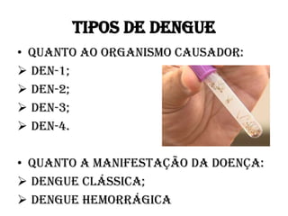 TIPOS DE DENGUE
• Quanto ao organismo causador:
 DEN-1;
 DEN-2;
 DEN-3;
 DEN-4.
• Quanto a manifestação da doença:
 Dengue clássica;
 Dengue hemorrágica

 