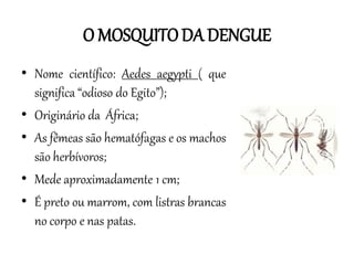 O MOSQUITO DA DENGUE
• Nome científico: Aedes aegypti ( que
significa “odioso do Egito”);
• Originário da África;
• As fêmeas são hematófagas e os machos
são herbívoros;
• Mede aproximadamente 1 cm;
• É preto ou marrom, com listras brancas
no corpo e nas patas.

 