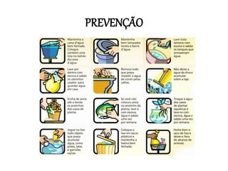 PREVENÇÃO

 