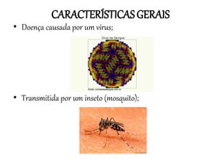 CARACTERÍSTICAS GERAIS

• Doença causada por um vírus;

• Transmitida por um inseto (mosquito);

 