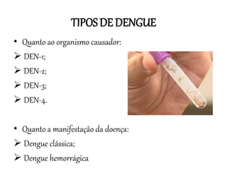 TIPOS DE DENGUE
• Quanto ao organismo causador:
 DEN-1;
 DEN-2;
 DEN-3;
 DEN-4.
• Quanto a manifestação da doença:
 Dengue clássica;
 Dengue hemorrágica

 