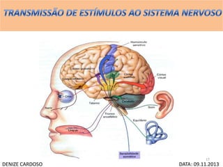 DENIZE CARDOSO DATA: 09.11.2013
17
 