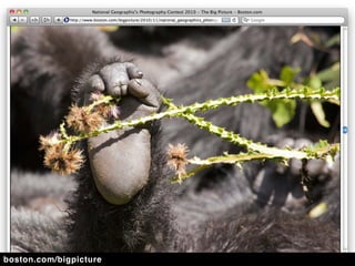 boston.com/bigpicture
 