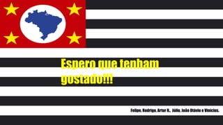 Espero que tenham
gostado!!!
Felipe, Rodrigo, Artur R., Júlio, João Otávio e Vinícius.
 