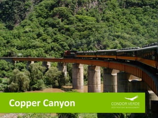 Copper Canyon