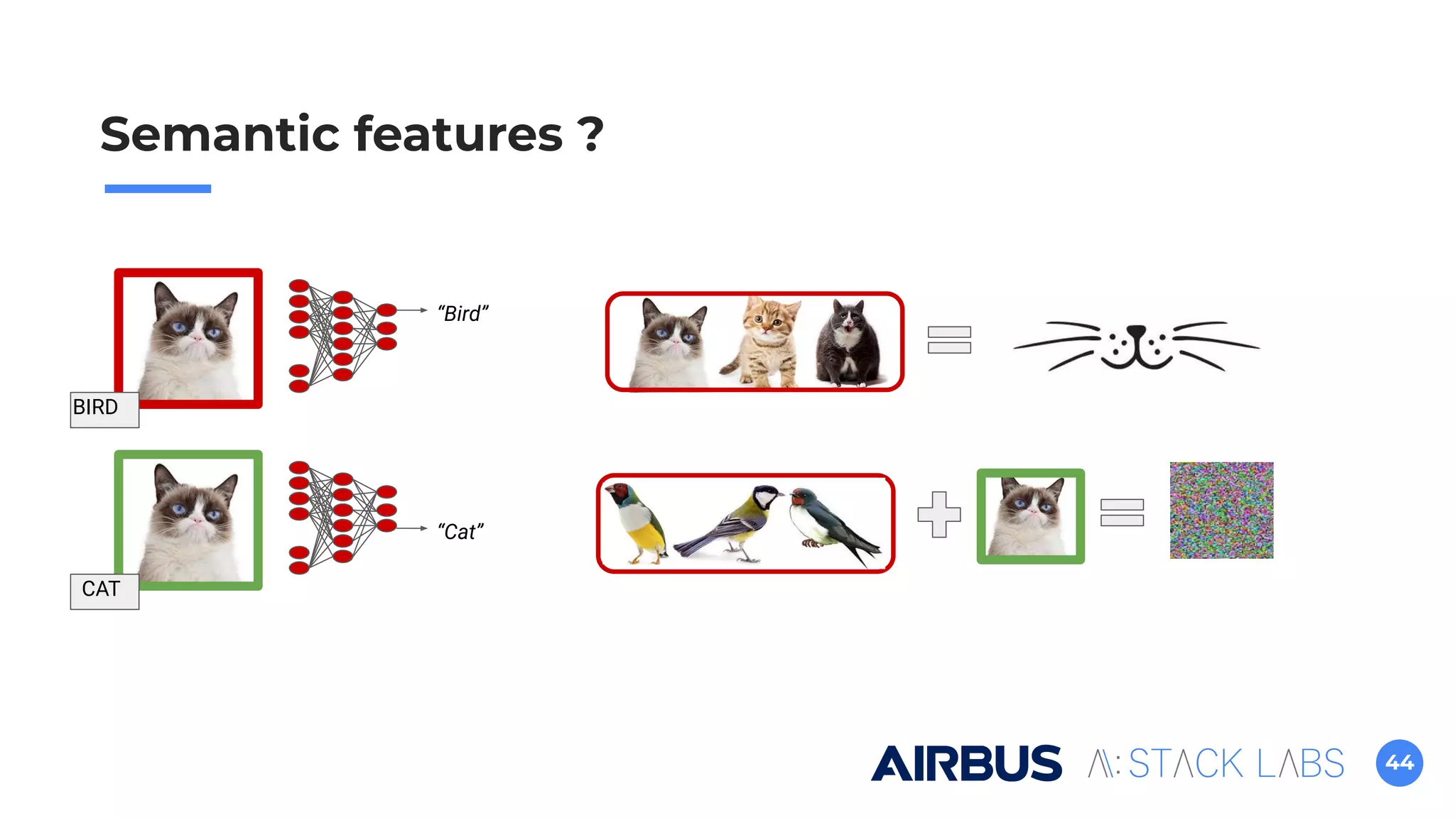 44
Semantic features ?
BIRD
CAT
“Bird”
“Cat”
 