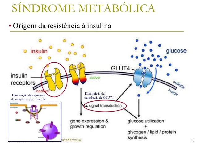 Revis u00e3o sobre Diabetes Mellitus Armario Limpieza ~ Revis u00e3o sobre Diabetes Mellitus