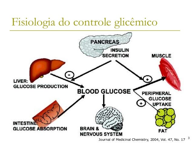 Artigos sobre diabetes mellitus