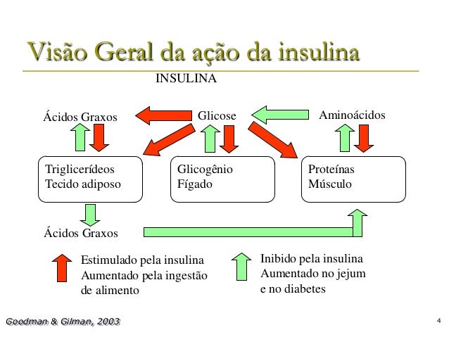 Artigos sobre diabetes mellitus