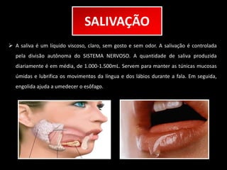 SALIVAÇÃO 
 A saliva é um líquido viscoso, claro, sem gosto e sem odor. A salivação é controlada 
pela divisão autônoma do SISTEMA NERVOSO. A quantidade de saliva produzida 
diariamente é em média, de 1.000-1.500mL. Servem para manter as túnicas mucosas 
úmidas e lubrifica os movimentos da língua e dos lábios durante a fala. Em seguida, 
engolida ajuda a umedecer o esôfago. 
 