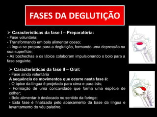 FASES DA DEGLUTIÇÃO 
 Características da fase I – Preparatória: 
- Fase voluntária; 
- Transformando em bolo alimentar coeso; 
- Língua se prepara para a deglutição, formando uma depressão na 
sua superfície; 
- As bochechas e os lábios colaboram impulsionando o bolo para a 
fase seguinte. 
 Características da fase II – Oral: 
- Fase ainda voluntária 
A sequência de movimentos que ocorre nesta fase é: 
- O ápice da língua é projetado para cima e para trás; 
- Formação de uma concavidade que forma uma espécie de 
colher; 
- Bolo alimentar é deslocado no sentido da faringe; 
- Esta fase é finalizada pelo abaixamento da base da língua e 
levantamento do véu palatino. 
 