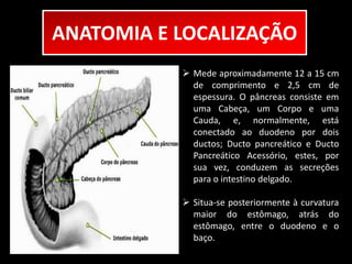 ANATOMIA E LOCALIZAÇÃO 
 Mede aproximadamente 12 a 15 cm 
de comprimento e 2,5 cm de 
espessura. O pâncreas consiste em 
uma Cabeça, um Corpo e uma 
Cauda, e, normalmente, está 
conectado ao duodeno por dois 
ductos; Ducto pancreático e Ducto 
Pancreático Acessório, estes, por 
sua vez, conduzem as secreções 
para o intestino delgado. 
 Situa-se posteriormente à curvatura 
maior do estômago, atrás do 
estômago, entre o duodeno e o 
baço. 
 