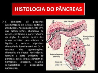 HISTOLOGIA DO PÂNCREAS 
 É composto de pequenas 
aglomerações de células epiteliais 
glandulares. Aproximadamente 99% 
das aglomerações, chamadas de 
Ácinos, constituem a parte Exócrina 
do órgão. As células dentro dos 
ácinos secretam uma mistura de 
líquido e enzimas digestivas 
chamada de Suco Pancreático. O 1% 
restante das aglomerações, 
chamadas de Ilhotas Pancreáticas, 
formam a parte Endócrina do 
pâncreas. Essas células secretam os 
hormônios glucagon, insulina, 
somatostatina e polipeptídeo 
pancreático. 
 