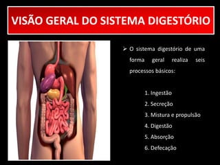 VISÃO GERAL DO SISTEMA DIGESTÓRIO 
 O sistema digestório de uma 
forma geral realiza seis 
processos básicos: 
1. Ingestão 
2. Secreção 
3. Mistura e propulsão 
4. Digestão 
5. Absorção 
6. Defecação 
 