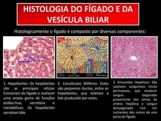 HISTOLOGIA DO FÍGADO E DA 
VESÍCULA BILIAR 
Histologicamente o fígado é composto por diversos componentes: 
1. Hepatócitos: Os hepatócitos 
são as principais células 
funcionais do fígado e realizam 
uma ampla gama de funções 
endócrinas, secretora e 
metabólicas. Os hepatócitos 
secretam bile. 
2. Canalículos Bilíferos: Estes 
são pequenos ductos, entre os 
hepatócitos, que coletam a 
bile produzida por estes. 
3. Sinusoides Hepáticos: São 
capilares sanguíneos muito 
permeáveis, que recebem 
sangue oxigenado 
proveniente dos ramos da 
artéria hepática e sangue 
desoxigenado rico em 
nutrientes dos ramos da veia 
porta do fígado. 
 