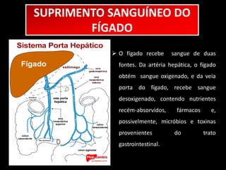 SUPRIMENTO SANGUÍNEO DO 
FÍGADO 
 O fígado recebe sangue de duas 
fontes. Da artéria hepática, o fígado 
obtém sangue oxigenado, e da veia 
porta do fígado, recebe sangue 
desoxigenado, contendo nutrientes 
recém-absorvidos, fármacos e, 
possivelmente, micróbios e toxinas 
provenientes do trato 
gastrointestinal. 
 