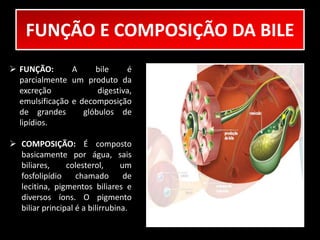 FUNÇÃO E COMPOSIÇÃO DA BILE 
 FUNÇÃO: A bile é 
parcialmente um produto da 
excreção digestiva, 
emulsificação e decomposição 
de grandes glóbulos de 
lipídios. 
 COMPOSIÇÃO: É composto 
basicamente por água, sais 
biliares, colesterol, um 
fosfolipídio chamado de 
lecitina, pigmentos biliares e 
diversos íons. O pigmento 
biliar principal é a bilirrubina. 
 