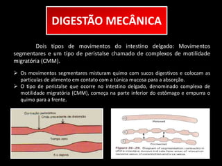 DIGESTÃO MECÂNICA 
Dois tipos de movimentos do intestino delgado: Movimentos 
segmentares e um tipo de peristalse chamado de complexos de motilidade 
migratória (CMM). 
 Os movimentos segmentares misturam quimo com sucos digestivos e colocam as 
partículas de alimento em contato com a túnica mucosa para a absorção. 
 O tipo de peristalse que ocorre no intestino delgado, denominado complexo de 
motilidade migratória (CMM), começa na parte inferior do estômago e empurra o 
quimo para a frente. 
 