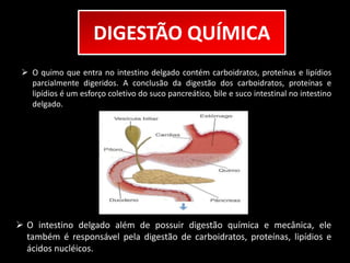 DIGESTÃO QUÍMICA 
 O quimo que entra no intestino delgado contém carboidratos, proteínas e lipídios 
parcialmente digeridos. A conclusão da digestão dos carboidratos, proteínas e 
lipídios é um esforço coletivo do suco pancreático, bile e suco intestinal no intestino 
delgado. 
 O intestino delgado além de possuir digestão química e mecânica, ele 
também é responsável pela digestão de carboidratos, proteínas, lipídios e 
ácidos nucléicos. 
 