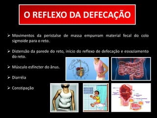 O REFLEXO DA DEFECAÇÃO 
 Movimentos da peristalse de massa empurram material fecal do colo 
sigmoide para o reto. 
 Distensão da parede do reto, início do reflexo de defecação e esvaziamento 
do reto. 
 Músculo esfíncter do ânus. 
 Diarréia 
 Constipação 
 