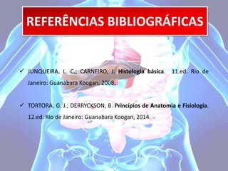 REFERÊNCIAS BIBLIOGRÁFICAS 
 JUNQUEIRA, L. C.; CARNEIRO, J. Histologia básica. 11.ed. Rio de 
Janeiro: Guanabara Koogan, 2008. 
 TORTORA, G. J.; DERRYCKSON, B. Princípios de Anatomia e Fisiologia. 
12.ed. Rio de Janeiro: Guanabara Koogan, 2014. 
