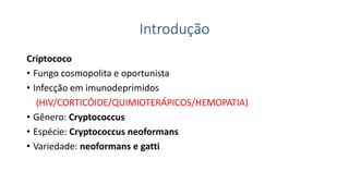 Introdução
Criptococo
• Fungo cosmopolita e oportunista
• Infecção em imunodeprimidos
(HIV/CORTICÓIDE/QUIMIOTERÁPICOS/HEMOPATIA)
• Gênero: Cryptococcus
• Espécie: Cryptococcus neoformans
• Variedade: neoformans e gatti
 