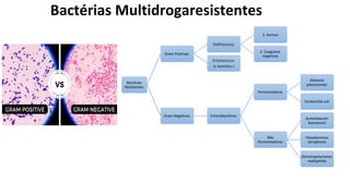 Bactérias Multidrogaresistentes
Bactérias
Resistentes
Gram Positivas
Stafilococcus
S. Aureus
S. Coagulase
negativos
Enterococcus
(ɤ hemólise )
Gram Negativas Enterobactérias
Fermentadoras
Klebsiela
pneumoniae
Escherichia coli
Não
Fermentadoras
Acinetobacter
baumannii
Pseudomonas
aeruginosa
Stenotrophomonas
maltophilia
 