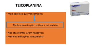 TEICOPLANINA
•Mais lipofílico que Vancomicina;
Melhor penetração tecidual e intracelular
•Não atua contra Gram negativas;
•Mesmas indicações Vancomicina.
 