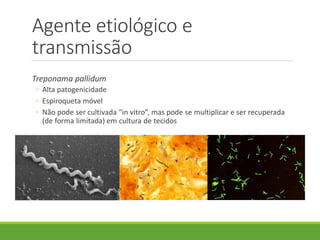 Agente etiológico e
transmissão
Treponama pallidum
◦ Alta patogenicidade
◦ Espiroqueta móvel
◦ Não pode ser cultivada “in vitro”, mas pode se multiplicar e ser recuperada
(de forma limitada) em cultura de tecidos
 