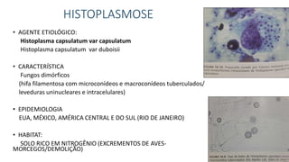 HISTOPLASMOSE
• AGENTE ETIOLÓGICO:
Histoplasma capsulatum var capsulatum
Histoplasma capsulatum var duboisii
• CARACTERÍSTICA
Fungos dimórficos
(hifa filamentosa com microconídeos e macroconídeos tuberculados/
leveduras uninucleares e intracelulares)
• EPIDEMIOLOGIA
EUA, MÉXICO, AMÉRICA CENTRAL E DO SUL (RIO DE JANEIRO)
• HABITAT:
SOLO RICO EM NITROGÊNIO (EXCREMENTOS DE AVES-
MORCEGOS/DEMOLIÇÃO)
 
