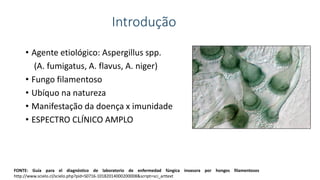 Introdução
• Agente etiológico: Aspergillus spp.
(A. fumigatus, A. flavus, A. niger)
• Fungo filamentoso
• Ubíquo na natureza
• Manifestação da doença x imunidade
• ESPECTRO CLÍNICO AMPLO
FONTE: Guía para el diagnóstico de laboratorio de enfermedad fúngica invasora por hongos filamentosos
http://www.scielo.cl/scielo.php?pid=S0716-10182014000200008&script=sci_arttext
 