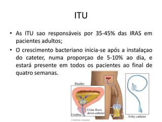ITU
• As ITU sao responsáveis por 35-45% das IRAS em
pacientes adultos;
• O crescimento bacteriano inicia-se após a instalaçao
do cateter, numa proporçao de 5-10% ao dia, e
estará presente em todos os pacientes ao final de
quatro semanas.
 